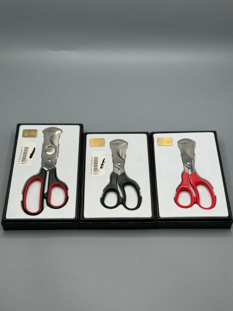 صورة Color Scissors Guevara