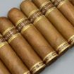صورة Nub nuance single roast