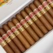 صورة Romeo y Julieta Wide Churchills