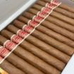 صورة Romeo y Julieta Petit Julietas